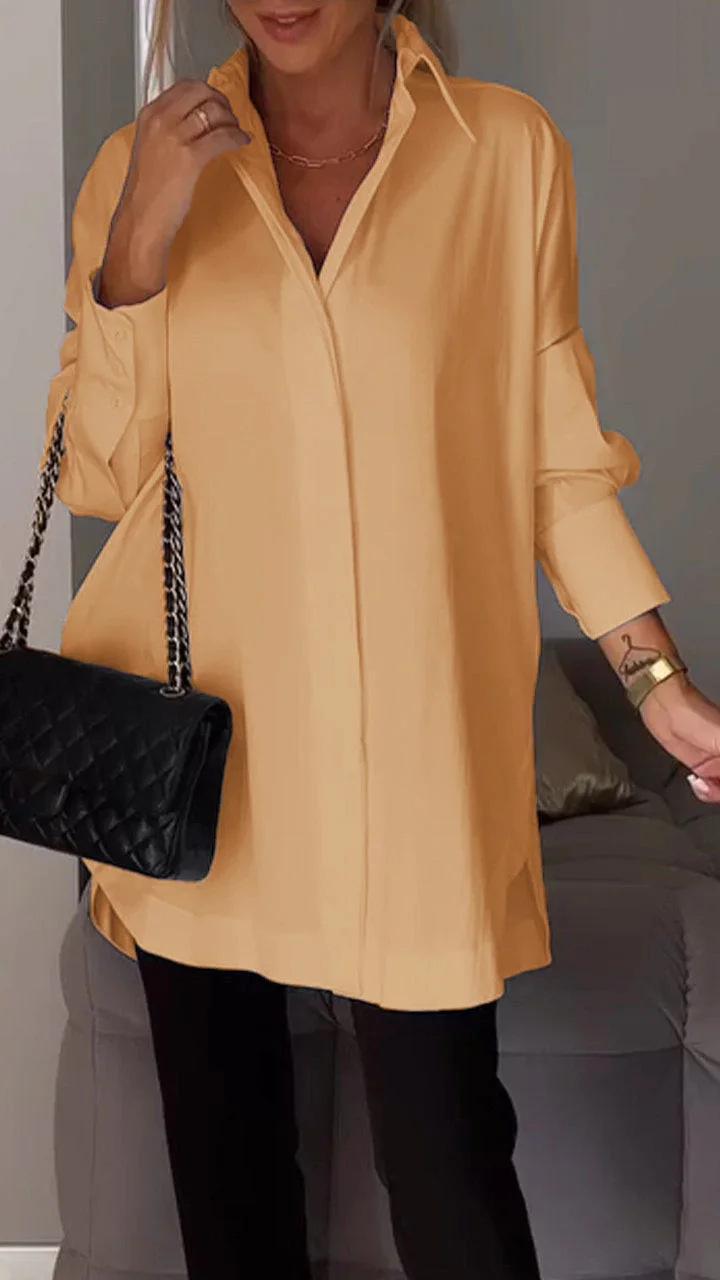 Classic Designed Blouse